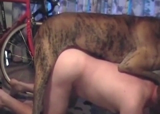 Nice anal sex with my lovely doggy