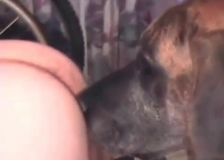 Nice anal sex with my lovely doggy