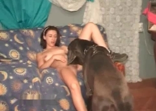 Doberman hardly drilled her twat