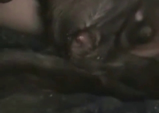 Amateur bestiality porn with a sweet doggy