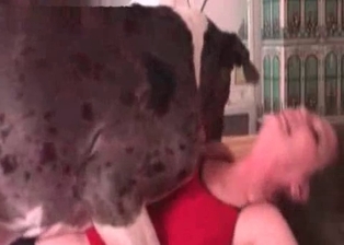 Wife and Dalmatian like each other