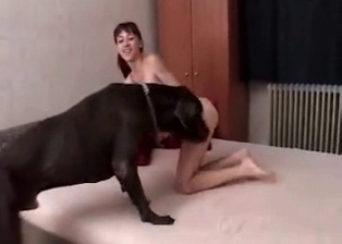 Sexy hot nicely drilled by a big trained doggy