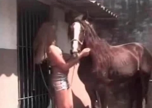 Black mare and a long legged zoophile