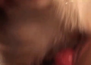 Doggy nicely sucked by hot brunette