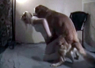 Slender blonde and pet like bestiality sex