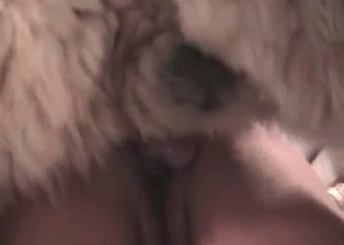 Dog nicely licks her juicy hole