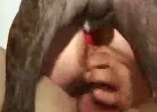 Couple fuck in front their doggy