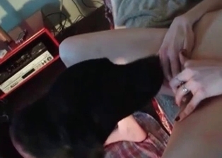 Zoophilic sex with a spicy slutty bitch