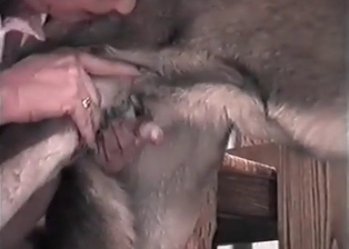 Doggy impaled her wet hole with love
