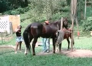 Sexy lady gets penetrated by pony
