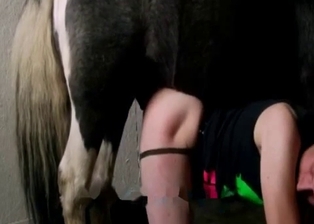 Farmer is trying to fuck with his pony