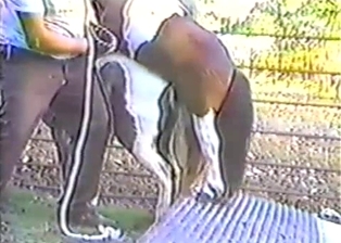Two young ponies have awesome beast sex