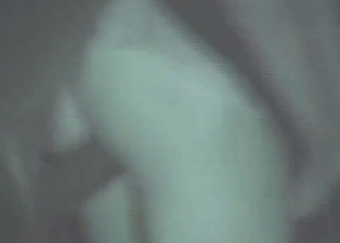 Horse knows how to drill a tight bottom