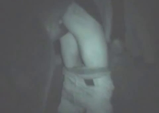 Horse knows how to drill a tight bottom