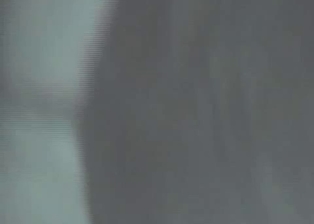 Horse knows how to drill a tight bottom