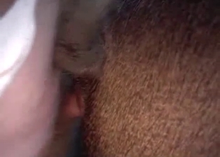 Farmer pounds his pony from behind in POV