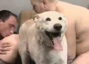 Nice ass to ass fuck with a cute Labrador