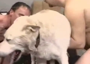 Nice ass to ass fuck with a cute Labrador