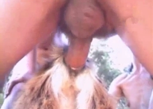 Small hairy doggy got nailed from behind