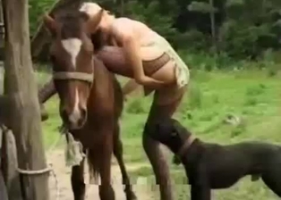Stallion, dog and blonde in threesome