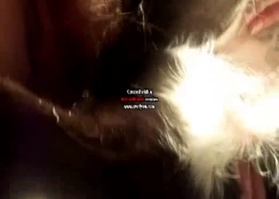 Cutest doggy nicely licks a hard wiener