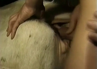 White pony got nicely drilled from behind