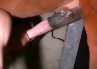 Filthy farmer sucks a huge pony sausage