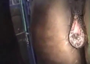 Man shoves a cock in tight hole of a pony