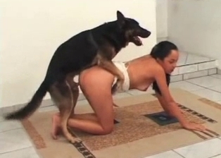 Zoophile sex games with my wife