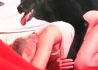 Hairy puppy likes hardcore bestiality sex