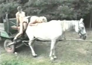 Horse and couple in bestiality movie