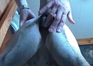 Unforgettable dog lover fingers dog ass