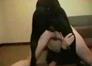 Nice ass banged by a horny doggy