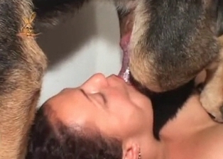Brunette and her doggy likes bestiality