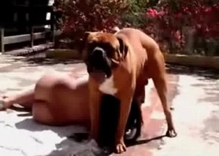 Sexy chick and her hot hound