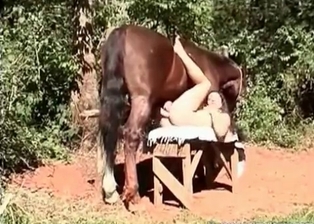 Female and stallion fuck in the missionary pose