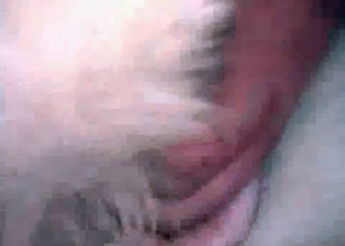 Sucking dog dick with passion