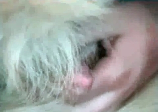 Sucking dog dick with passion
