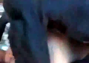 Slutty zoophile drilled by a hardcore Doberman