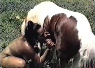 Bestial babe and her trained horse