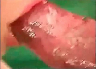 Brunette likes oral sex in bestiality style