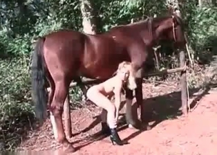 Stunning stallion hardly drills her twat