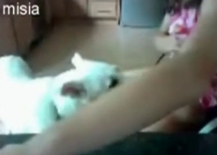 Zoophilic hussy is owned in that puss by doggie