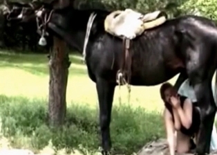 Nice stallion cums a massive load