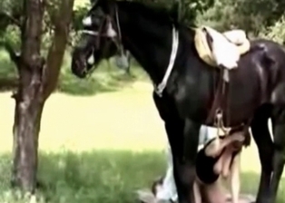 Nice stallion cums a massive load