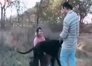 Pup humps a dirty zoophile outdoors
