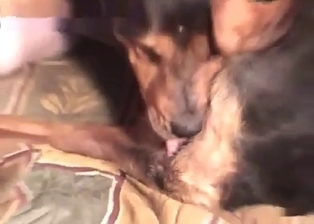 Mongrel drills her little twat