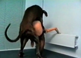 Unforgettable bestial nail featuring a doggie