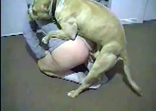 Prodigious teen with a dirty dog