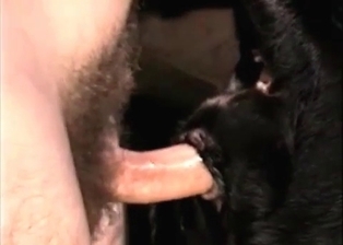Zoophilic slut warm vagina fucked by dog